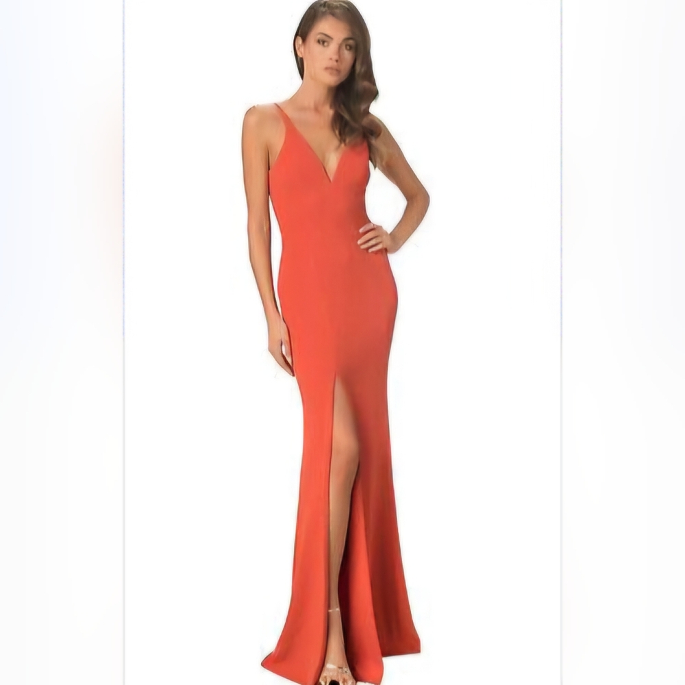 Dress the Population Red Gown